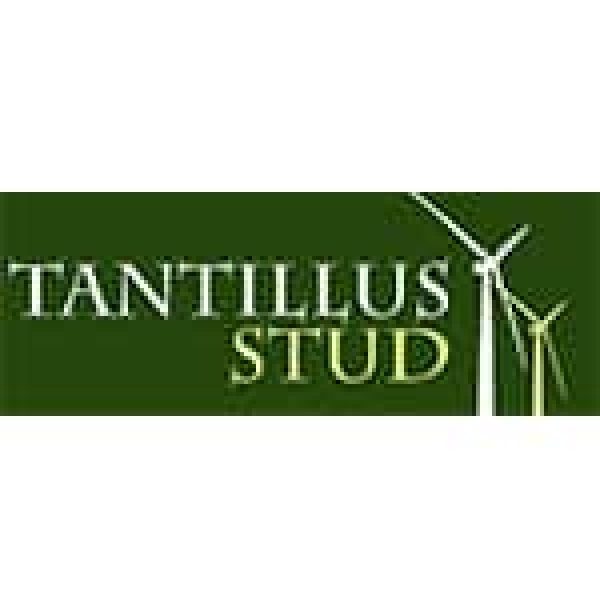 Client_0008_Tantillus Stud Logo